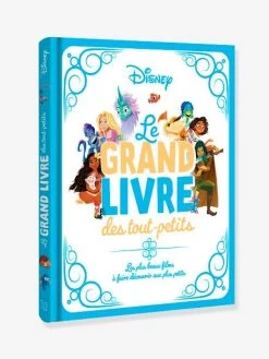 DISNEY - Le Grand Livre Des Tout-petits - HACHETTE DISNEY Blanc - Hachette