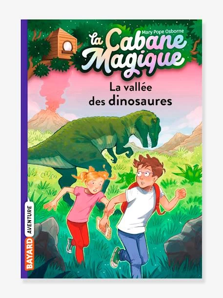 La Cabane Magique - T.1 - La Vallée Des Dinosaures - BAYARD JEUNESSE Blanc - Hachette