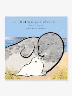 Livre De Naissance - Le Jour De Ta Naissance - ALBIN MICHEL Blanc - Hachette