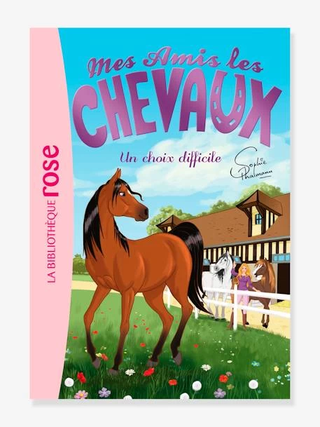 Mes Amis Les Chevaux - T.3 - Un Choix Difficile - HACHETTE Blanc - Hachette